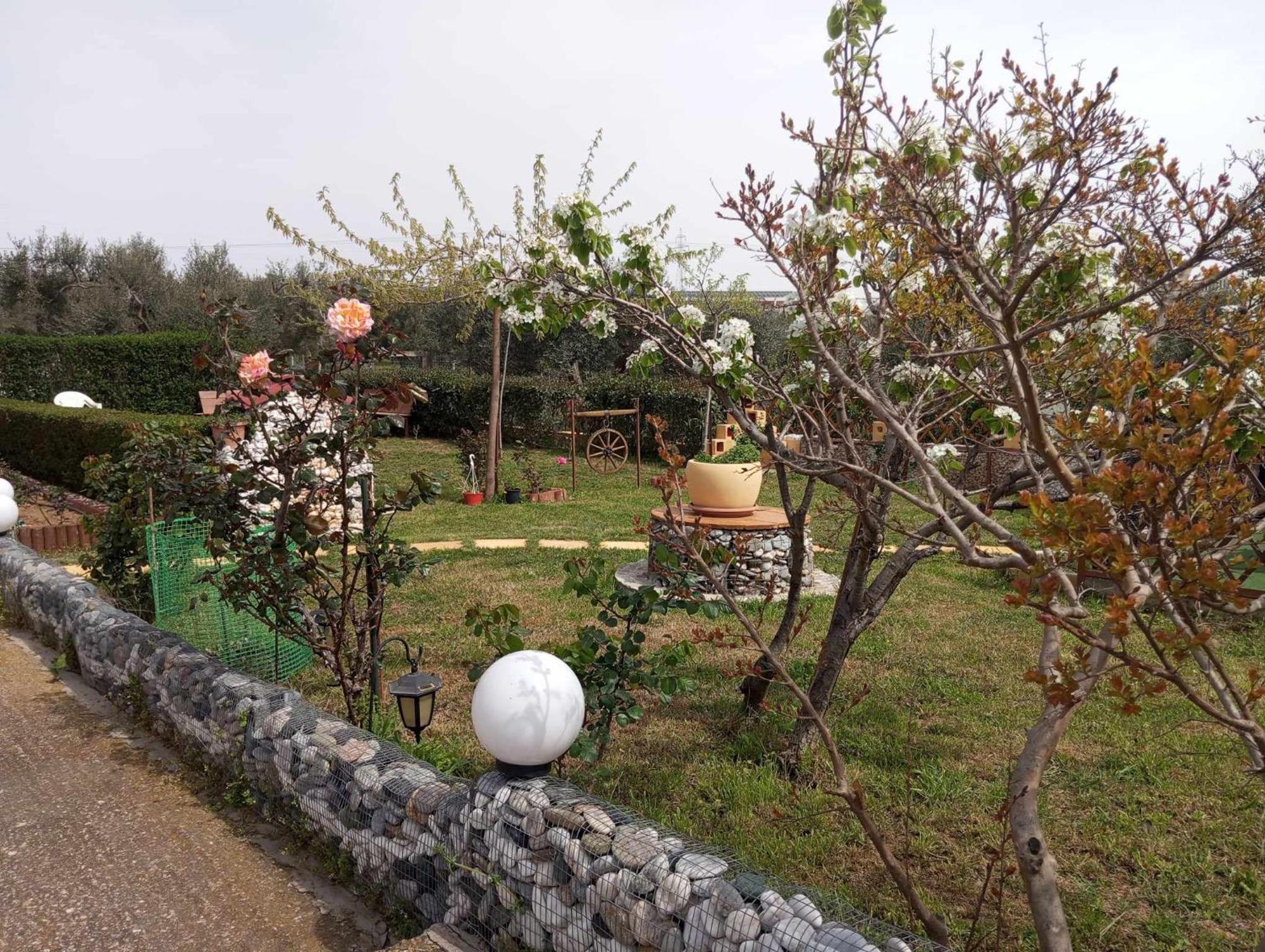 אלכסנדרופולי Dora'S Garden Villa מראה חיצוני תמונה