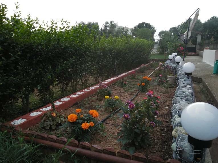אלכסנדרופולי Dora'S Garden Villa מראה חיצוני תמונה